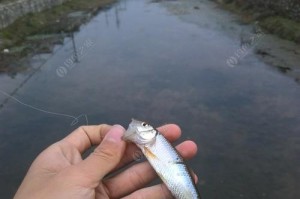 小区隔离用路亚钓鱼，捕获城市中的乐趣（在家门口，享受钓鱼的乐趣；小区生活中的休闲娱乐活动）