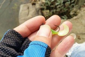 路亚钓鱼技巧（掌握路亚钓鱼的关键——技巧完全解析）