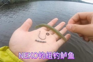 《创意路亚钓鱼项目大全》（15个创新路亚钓鱼项目，让你成为钓鱼专家！）