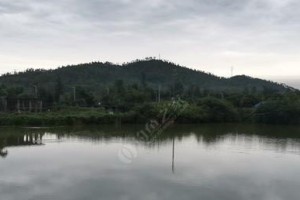万顷沙路亚钓鱼地点大全（揭秘万顷沙路亚钓鱼的绝佳之处）
