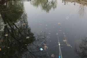 路亚钓法适合晚上钓鱼吗？（探讨路亚钓法在夜晚是否有效的因素）