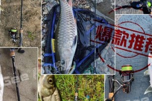 钓鱼天元邓刚一路亚竿的乐趣（探索天元邓刚一路亚竿的钓鱼技巧与心得）