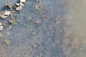 糯扎渡水电站路亚钓鱼之乐（探秘糯扎渡水电站钓鱼胜地，享受路亚钓鱼的乐趣）