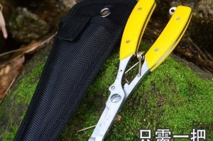 让孩子爱上钓鱼！（10岁以上小孩的钓鱼工具路亚指南）
