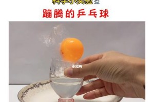 乒乓球重力实验（探究重力加速度与物体质量的关系，揭示物体自由下落的规律）