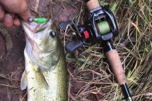 淡水钓鱼的最佳路亚竿选择（选择适合淡水钓鱼的路亚竿，让你享受更多捕鱼乐趣）