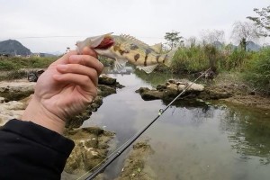 新手也能轻松掌握路亚钓鱼技巧（以新手为主题的路亚钓鱼指南，教你如何入门和提高）