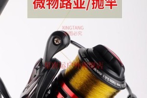 掌握路亚钓鱼抛竿卡点模板，提高钓鱼效率（钓鱼爱好者必备，一步步教你路亚钓鱼抛竿的技巧和模板）