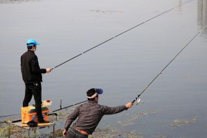 小学生使用儿童路亚钓鱼的好处与技巧（发展孩子的观察力和动手能力，培养钓鱼的兴趣爱好）