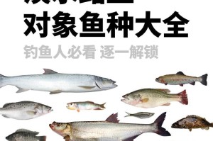 运河用路亚钓鱼指南（运用路亚钓法探索运河世界的鱼群奥秘）