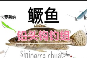 路亚钓鱼技巧——掌握重鱼捕获的关键（如何提高路亚钓鱼的成功率，捕捉到重量级的鱼？）