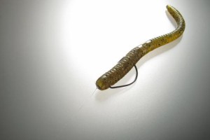 探究以江里路亚钓鱼的最佳饵料选择（选择最适合江里路亚钓鱼的饵料，提升成功几率）