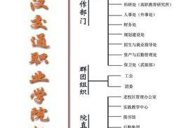 乒乓球社工作职责解析（为乒乓球社提供有效的支持与组织管理）