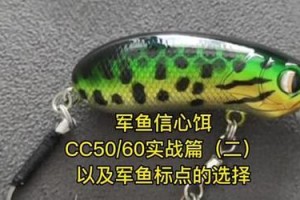 用塑料片做路亚钓鱼的技巧与方法（可持续的钓鱼方式为环境保护贡献一份力量）