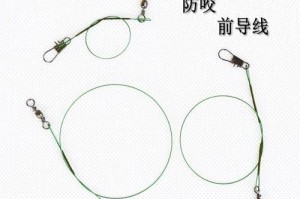 掌握路亚钓鱼线的正确使用方法（提高钓鱼效果，技巧和注意事项一网打尽）