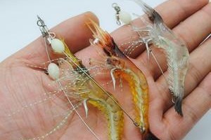 路亚海竿挂饵钓鱼的技巧与要点（掌握路亚海竿挂饵钓鱼，轻松提升钓鱼效果）