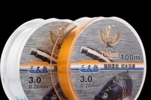 路亚钓鱼的最佳主线选择（探讨最适合路亚钓鱼的主线及其特点）