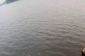 应城爱漫小镇水库路亚钓鱼攻略（探索水库深处的钓鱼热点，尽享钓鱼乐趣）