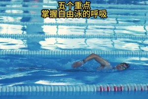 儿童游泳技巧大全（让孩子们轻松掌握游泳的关键技巧）