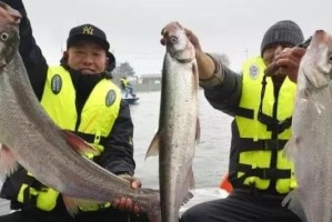 探秘海钓路亚的黄金时间（揭秘海钓路亚钓鱼的最佳时刻）