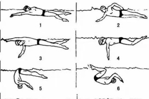 游泳身高技巧要领（提高身高技巧，成就游泳之王）
