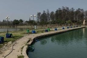 夏天气压低如何钓鱼路亚（钓鱼路亚技巧与策略分享，让您在夏季低气压下也能成功钓鱼）