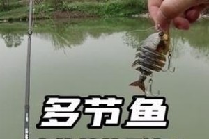 路亚竿钓鱼野外钓之效果与技巧（探寻以路亚竿钓鱼在野外的可行性及钓鱼技巧）