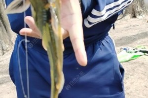 从几岁开始学习路亚钓鱼？（探讨适合儿童学习路亚钓鱼的最佳年龄段）