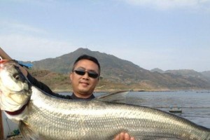 以孝妇河路亚钓鱼地点选择（探寻适合路亚钓鱼的孝妇河钓点）