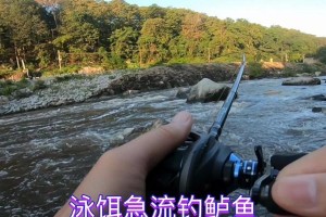 急流水域下的路亚钓鱼技巧（挑战急流，畅享路亚钓鱼乐趣）
