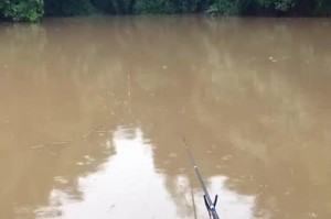 探秘路亚钓法在急流水域的适用性（解析路亚钓法在急流水域中的技巧和窍门）