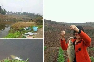 女人使用路亚钓鱼为什么违法？（探讨女性路亚钓鱼活动的合法性及其影响）