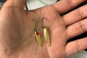 路亚竿子母钩钓鱼的优势与适用性分析（探讨路亚竿子母钩钓鱼的实际效果及应用范围）