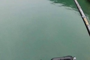 路亚降温后的鱼情如何？（揭秘路亚降温对钓鱼的影响与策略）