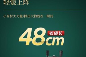 微物路亚竿钓鱼咬钩原理解析（探究微物路亚竿钓鱼时鱼咬钩的原理及关键因素）