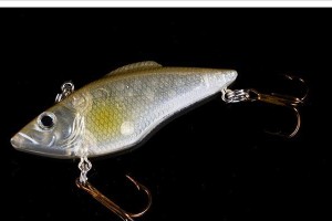 探索路亚海上钓鱼的最佳假饵选择（提升钓鱼技巧，成功捕捉海上大物）