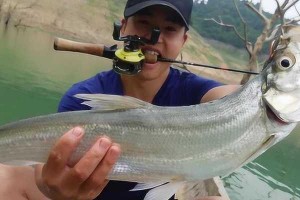 以路亚钓鱼是否违法？（探讨路亚钓鱼合法性及影响）