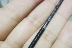 路亚竿尾部断了，为什么还能钓鱼？（揭秘路亚竿尾部断了依然能够成功钓鱼的原因）