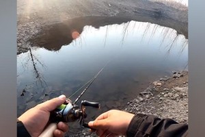 过冬的路亚人能否钓鱼？（探讨路亚人在寒冷季节的钓鱼技巧与心得）