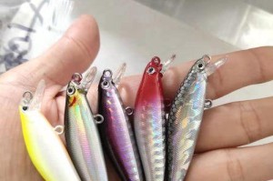 海边路亚钓鱼饵的使用方法与技巧（探索海边路亚钓鱼的乐趣，捕获更多美味鱼儿）