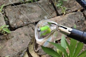 以野河路亚竿钓鱼的最佳方法（挑选合适的路亚竿，技巧与经验分享）