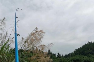 以歙县为什么不能用路亚钓鱼？（探寻歙县钓鱼环境与文化特点）