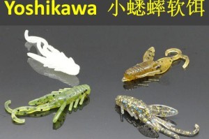 钓鱼路亚挂饵选择的关键饵料（提升钓鱼效果，选择适宜的挂饵关键）