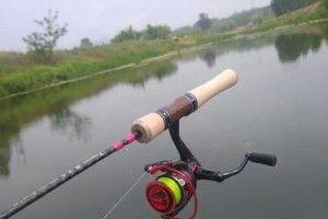 新手路亚钓鱼，如何选择合适的钓竿？（帮助新手选购适合路亚钓鱼的钓竿，从材质到长度一应俱全。）