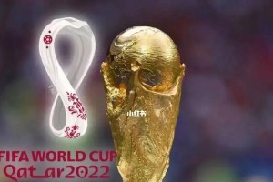 卡塔尔世界杯年度最佳进球（揭秘卡塔尔世界杯最精彩的进球瞬间，让我们一同感受足球的魅力）