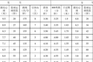 游泳100米的技巧与训练方法（从初级到高级，掌握游泳的核心要领）