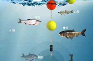 路亚钓鱼技巧之七星漂的使用方法（掌握七星漂的技巧，提升路亚钓鱼效果）