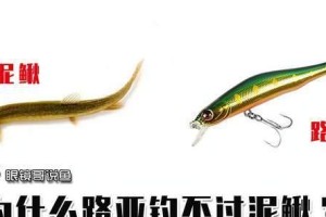路亚饵钓鱼技巧之选择钓位的重要性（如何选择合适的钓位来提升路亚钓鱼效果）