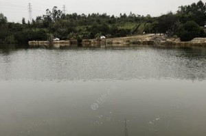广佛线钓鱼野钓地点路亚指南（广佛线附近的路亚钓鱼天堂，带你畅享自然纯净的钓鱼乐趣）