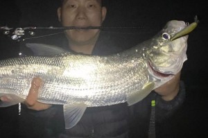路亚水浑钓鱼的饵料选择和技巧（探究适合路亚水浑钓鱼的饵料种类和使用技巧）